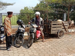 Ada Ojek Kambing di Kudus, Siap Antar Hewan untuk Sembelihan Kurban