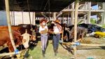 Adem... Cowgirl di Surabaya Manis-manis Banget Gaes