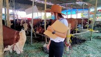 Setiawan mengaku berbagai jenis sapi yang dijual untuk hewan kurban mulai sapi jenis pegon, sapi jawa dan lainnya. Ia juga mengaku harga sapi yang dijual ditempatnya mulai harga Rp 17 juta hingga 60 juta rupiah, selama empat hari buka sudah 21 sapi yang terjual.