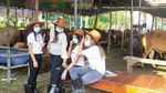 Adem... Cowgirl di Surabaya Manis-manis Banget Gaes
