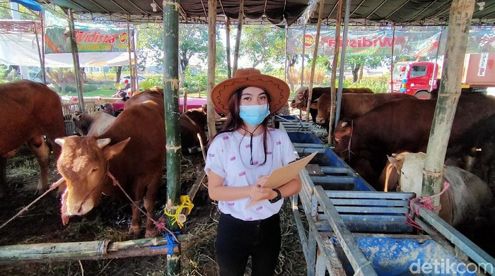 SPG Sapi Kurban di Surabaya Manis-manis Banget Gaes Penjual hewan kurban di Surabaya ini dilayani oleh gadis-gadis cantik yang berpakaian ala koboi lho.