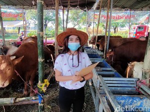 SPG di Mal Hewan Kurban Haji Doni Menghilang, Karena PMK?