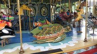 Komedi putar di Hong Kong punya dudukan kura-kura yang melantai supaya anak dengan berkebutuhan khusus masih bisa bermain komedi putar. (Bored Panda)