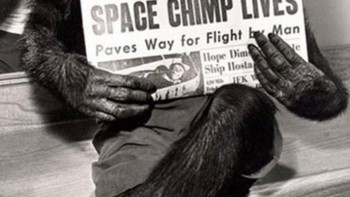 Apestronaut atau kera astronaut? Apapun sebutannya, kera ini menjadi adalah humanoid pertama yang berhasil dikirim ke luar angkasa. Foto: via Daily Forest