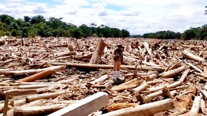 Tumpukan kayu setelah banjir bandang di Luwu Utara.