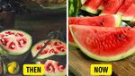 10 Foto Ini Buktikan Terung hingga Semangka Dulu Tak Seperti Sekarang