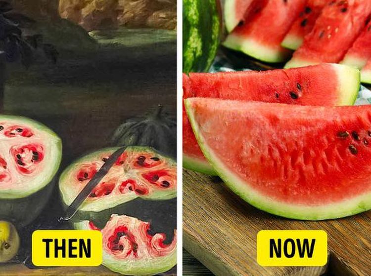 10 Foto Ini Buktikan Terung hingga Semangka Dulu Tak Seperti Sekarang