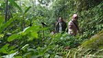 Curug Dawuan Ciamis, Air Terjun Tersembunyi untuk Para Petualang