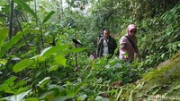 Air terjun yang baru ditemukan ini cocok untuk para petualang. Karena, untuk sampai ke lokasi air terjun harus melintasi hutan kaki Gunung Sawal dengan berjalan kaki dan sedikit mendaki sekitar 1 kilometer. 
