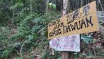 Curug Dawuan Ciamis, Air Terjun Tersembunyi untuk Para Petualang