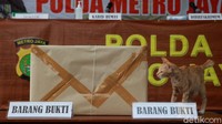 Seperti diketahui, jenazah Yodi Prabowo sendiri ditemukan di daerah Ulujami, Pesanggarahan, Jakarta Selatan pada Jumat (10/7). Polisi menemukan dua luka tusuk pada bagian dada dan leher pada jenazah Yodi Prabowo.
