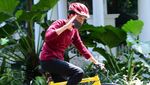 Deretan Sepeda yang Pernah Dikayuh Jokowi, Seli hingga Ontel