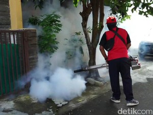 Wajib Tahu! Ini Fase-fase Saat Terkena DBD dari Hari ke Hari