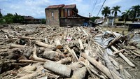 Batang-batang kayu yang terbawa arus banjir menumpuk di permukiman warga.
