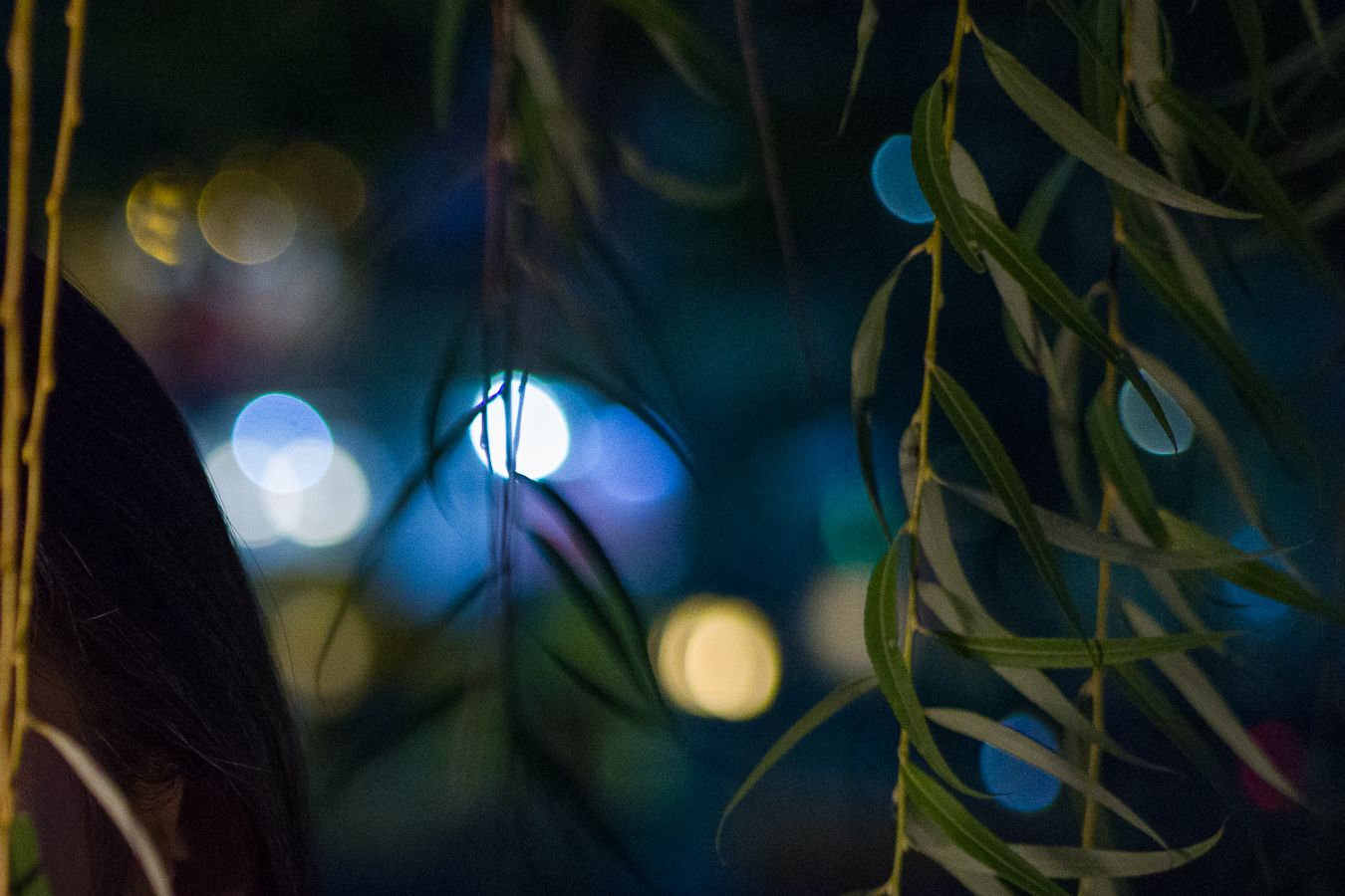 Review kamera Leica M10-R