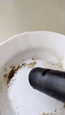 Sedot lada di telur pakai vacuum cleaner