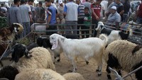 Ini adalah puluhan penjual ternak lokal yang berkumpul di pasar ternak Dir al-Balah di Jalur Gaza tengah, Palestina. Foto: Dok. Rizek Abdeljawad/Xinhua