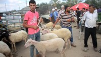 Mereka menunggu berjam-jam di bawah teriknya matahari untuk menjual beberapa ekor domba. Foto: Dok. Rizek Abdeljawad/Xinhua