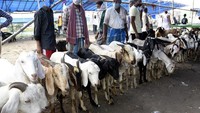 Ini adalah pasar darurat di Patna, negara bagian Bihar, India. Foto: Dok. Str/Xinhua