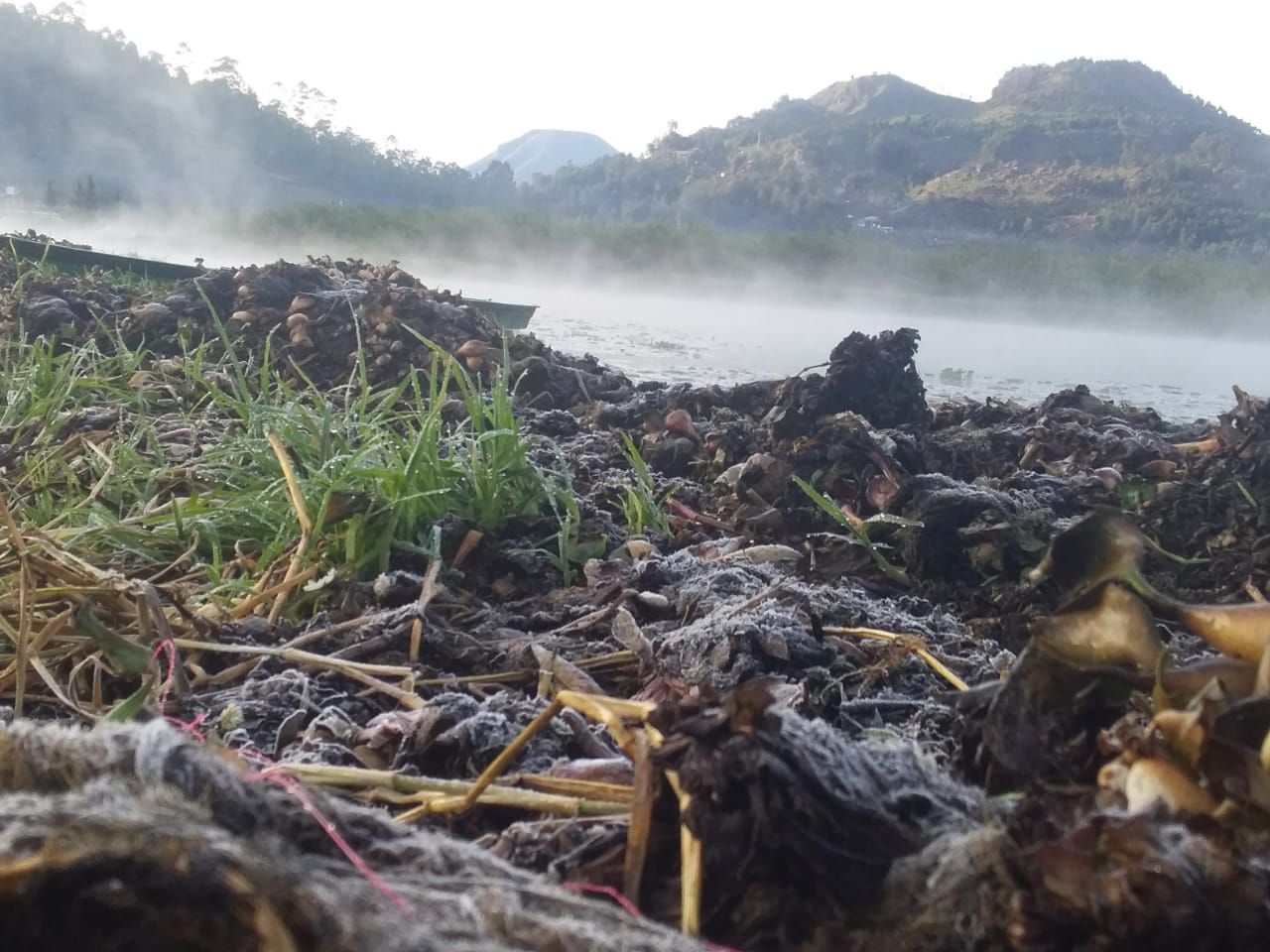 Embun es di telaga Bale Kambang, Dieng