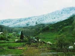 Kumpulan Foto Menakjubkan Tanpa Sentuhan Photoshop