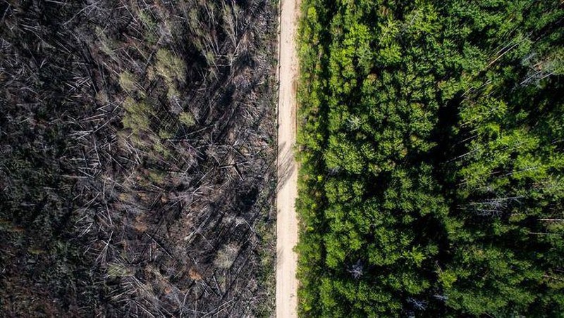 Kumpulan Foto Menakjubkan Tanpa Sentuhan Photoshop