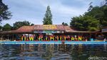 Potret Ikan Dewa di Objek Wisata Cibulan