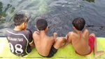 Potret Ikan Dewa di Objek Wisata Cibulan