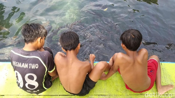 Objek wisata ikan dewa di Kuningan.