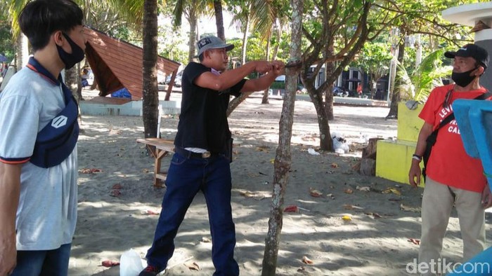 Petugas mencabut paku yang tertancap di pohon pantai Pangandaran