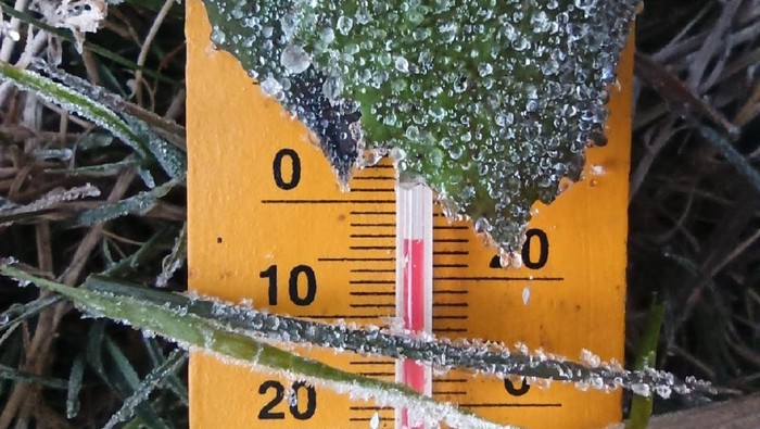 Potret Dataran Tinggi Dieng Berselimut Embun Es Fenomena embun es di Dataran Tinggi Dieng kembali terjadi, Minggu (26/7/2020). Suhu pagi ini mendekati minus 3,5 derajat celsius.