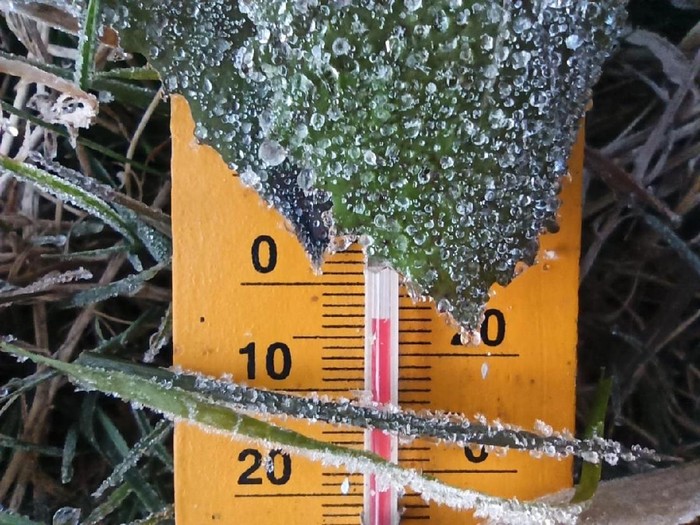 Fenomena embun es di Dataran Tinggi Dieng kembali terjadi, Minggu (26/7/2020). Suhu pagi ini mendekati minus 3,5 derajat celsius.
