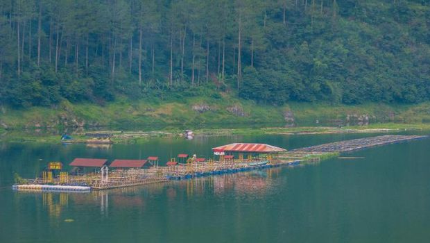 Telaga di Wonosobo.