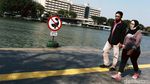 Wajah Baru Waduk Sunter Selatan yang Kian Ciamik