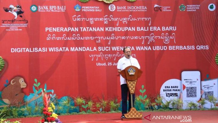 Gubernur Bali Wayan Koster