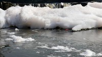 Busa putih itu mengambang tepat di bawah air terjun.
