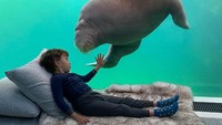 Terletak akuarium besar di dalam kamar. Walrus akan mengintip melalui kaca yang membatasi tangki dan ruangan wisatawan (Pairi Diza Resort)