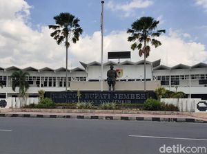Dewan Sebut Ada Kasi Kambing di Pemkab Jember, Ini Cerita Eks Pejabat Dinasnya