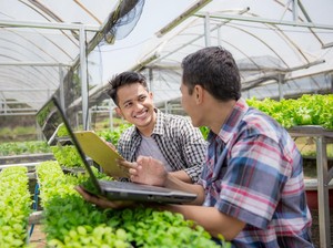 Bisnis Pertanian Menjanjikan Saat COVID-19, Milenial Diminta Ikut Serta