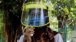 Rek, Kebun Binatang Surabaya Kembali Dibuka Lho