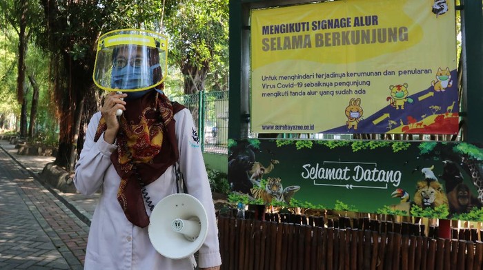 Rek, Kebun Binatang di Surabaya Kembali Dibuka Lho Kebun Binatang Surabaya kembali dibuka untuk umum. Kebun binatang tersebut kembali dibuka dengan menerapkan protokol kesehatan.