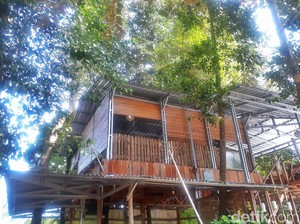 3 Tempat Nongkrong dengan View Candi di Yogyakarta
