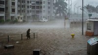 Pada 1960-an dan 70-an, topan tropis di Hong Kong menelan ratusan korban jiwa. Ribuan orang juga kehilangan rumah karena banjir, dan kota itu harus menghabiskan jutaan dolar untuk perbaikan setiap tahunnya.