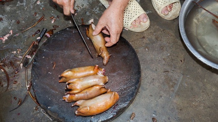 Vietnam Larang Perdagangan Hewan Liar