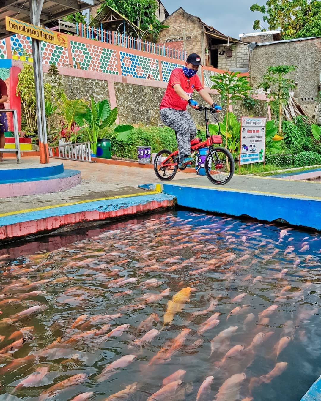 Saluran Irigasi Disulap Jadi Kolam Ikan, Warga Panen Ikan Tiap Hari