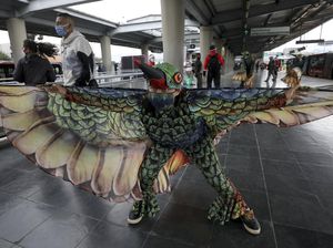 Burung Kolibri Kampanyekan Social Distancing di Kolombia