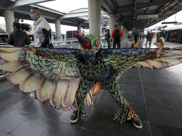 Burung Kolibri Kampanyekan Social Distancing di Kolombia