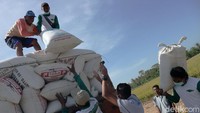 Manajemen Perum Bulog kembali melakukan tindakan korporasi penting di masa pandemi COVID-19 dengan melakukan penyerapan langsung gabah/beras petani pada musim panen raya sebagai upaya menjaga stok pangan nasional di akhir tahun sekaligus menjaga harga jual padi di level petani.