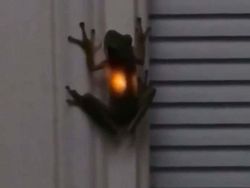 Sederet Fenomena Ilmiah yang Bikin Kaget dan Tercengang