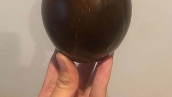 Telur? Bukan, ini kelapa bila dipoles. Foto: Bored Panda